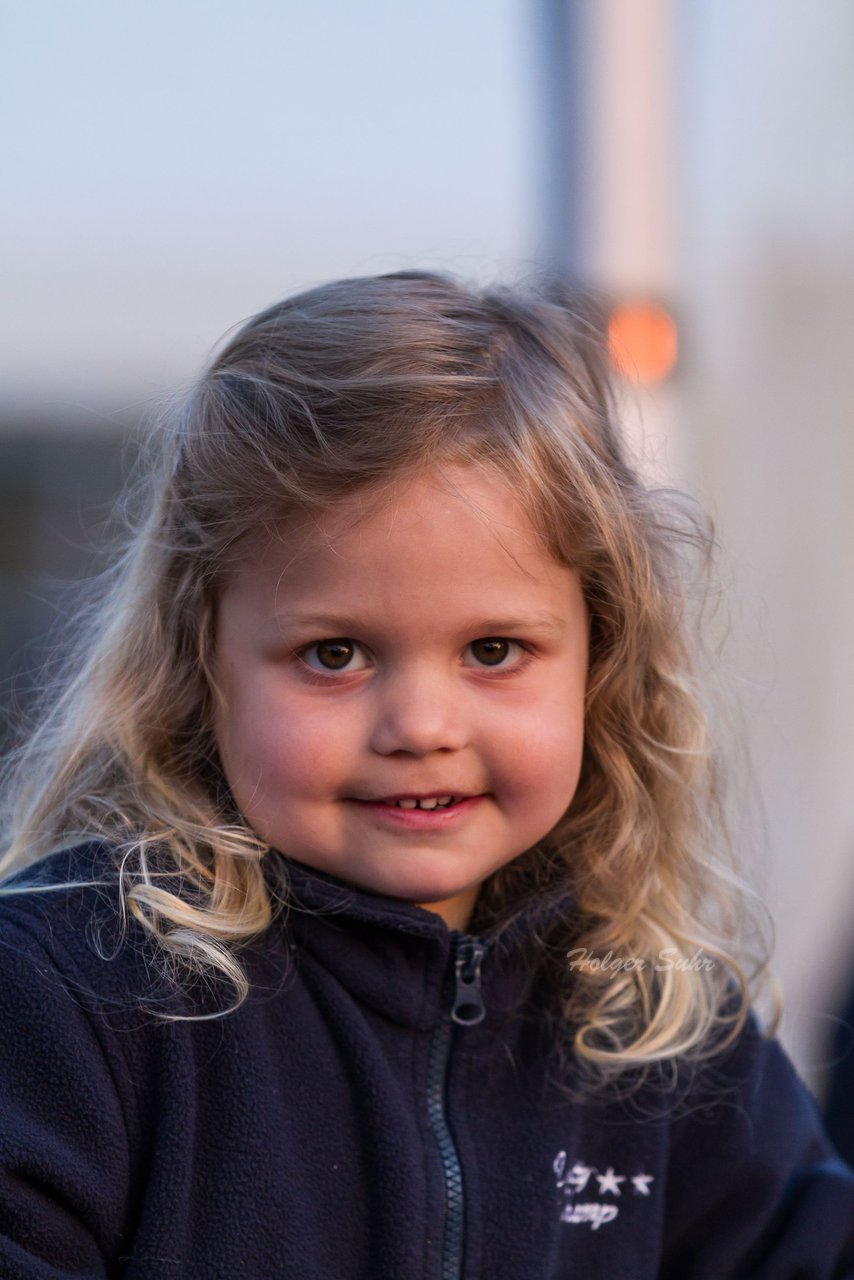 Bild 193 - Wiemersdorfer Maibaum